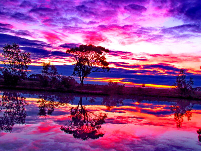 Sunset over Pond — Purple, Dramatic, Photograph