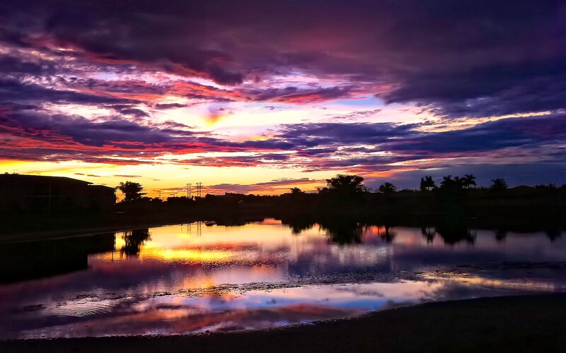 Sunset over Pond — Purple