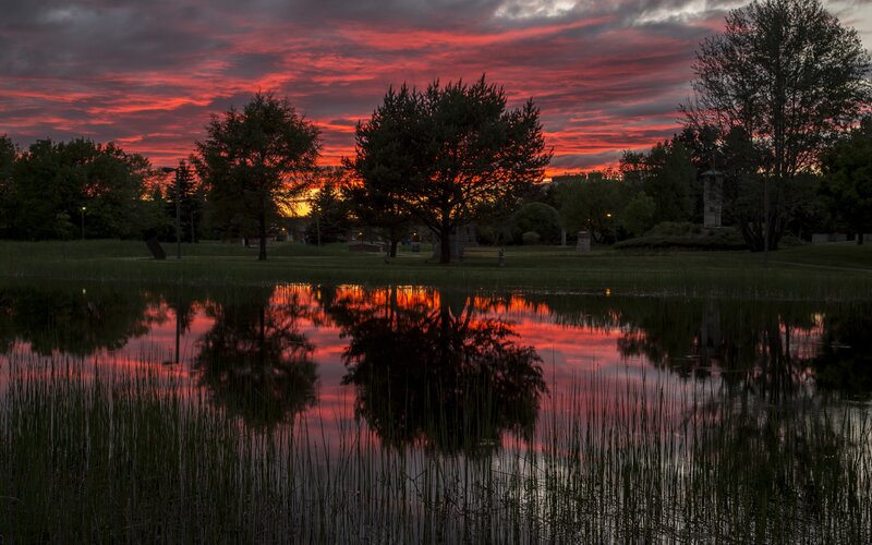 Sunset over Pond — Red, Dramatic, Photograph, Trees