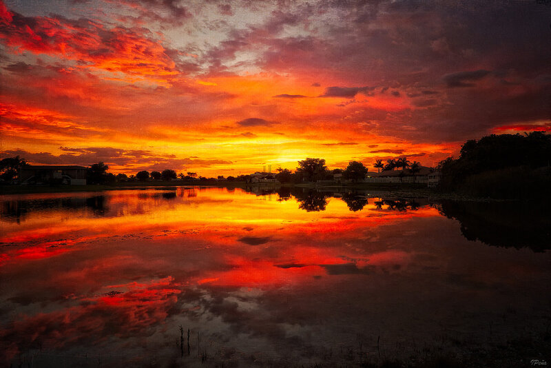 Sunset over Pond — Red, Dramatic