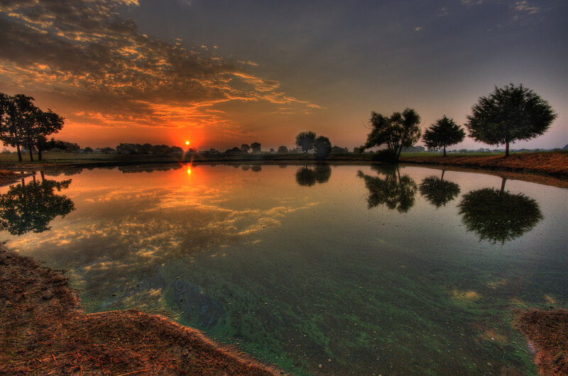 Sunset over Pond