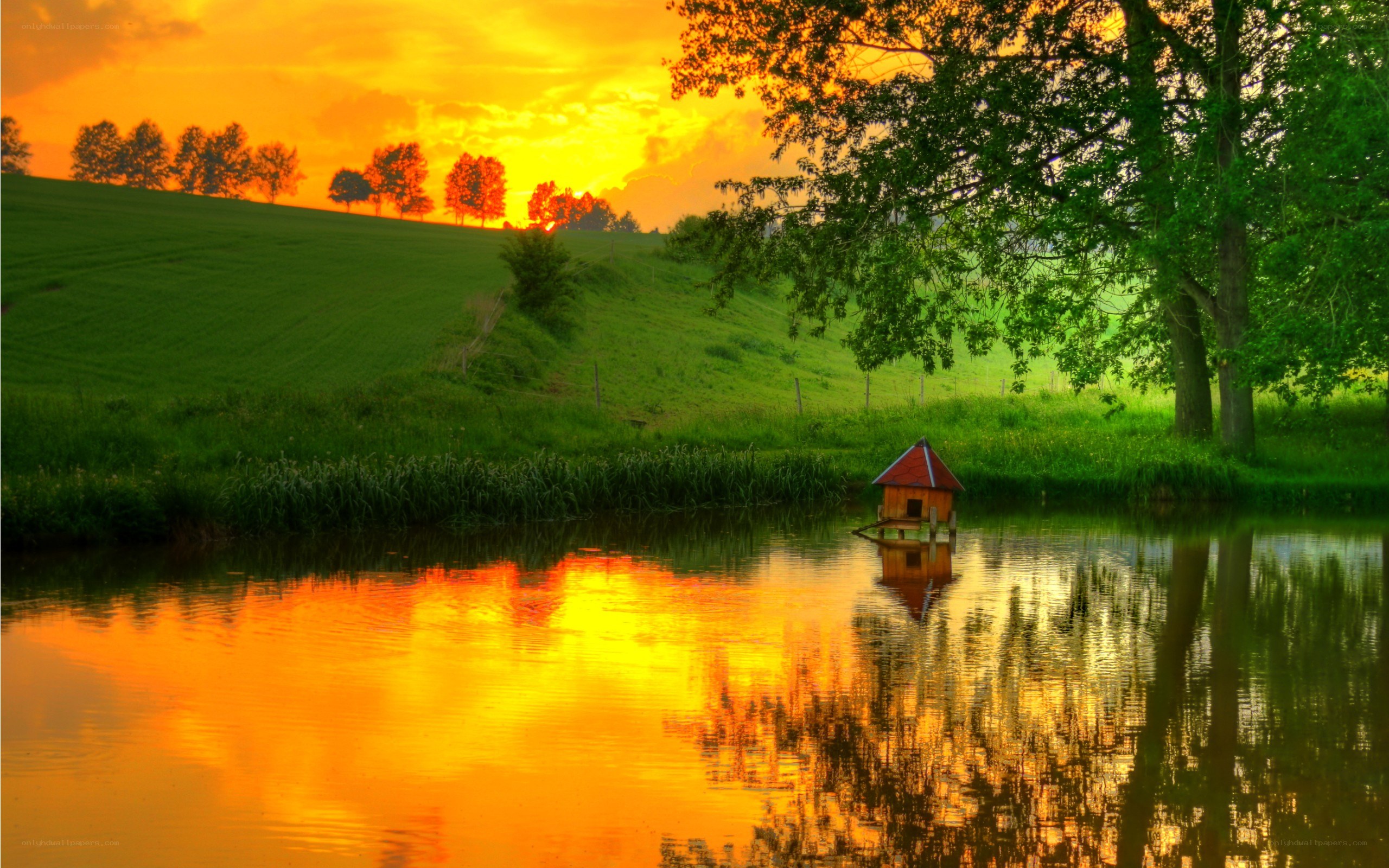 Sunset over pond with duck house