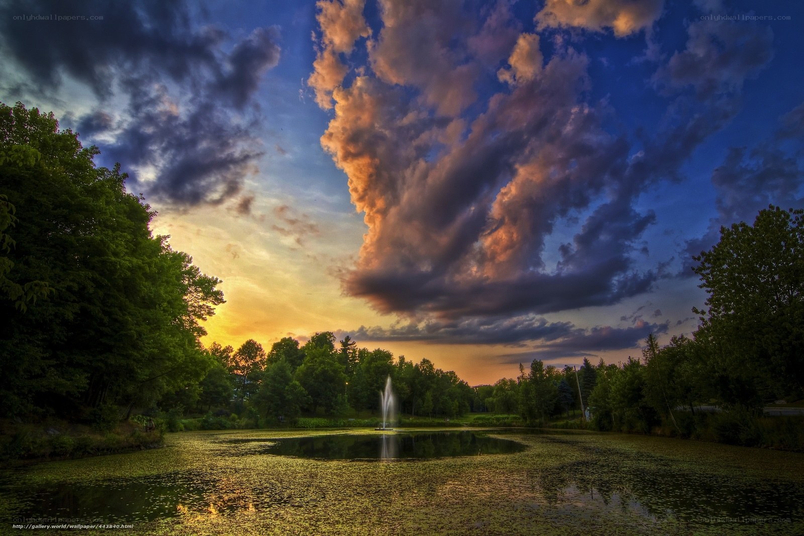 Sunset over pond with fountain