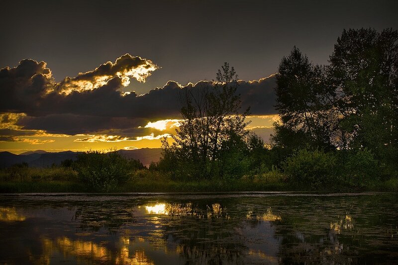 Sunset over Pond — Yellow, Dramatic