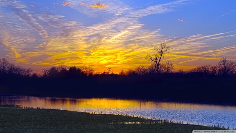Sunset over Pond — Yellow