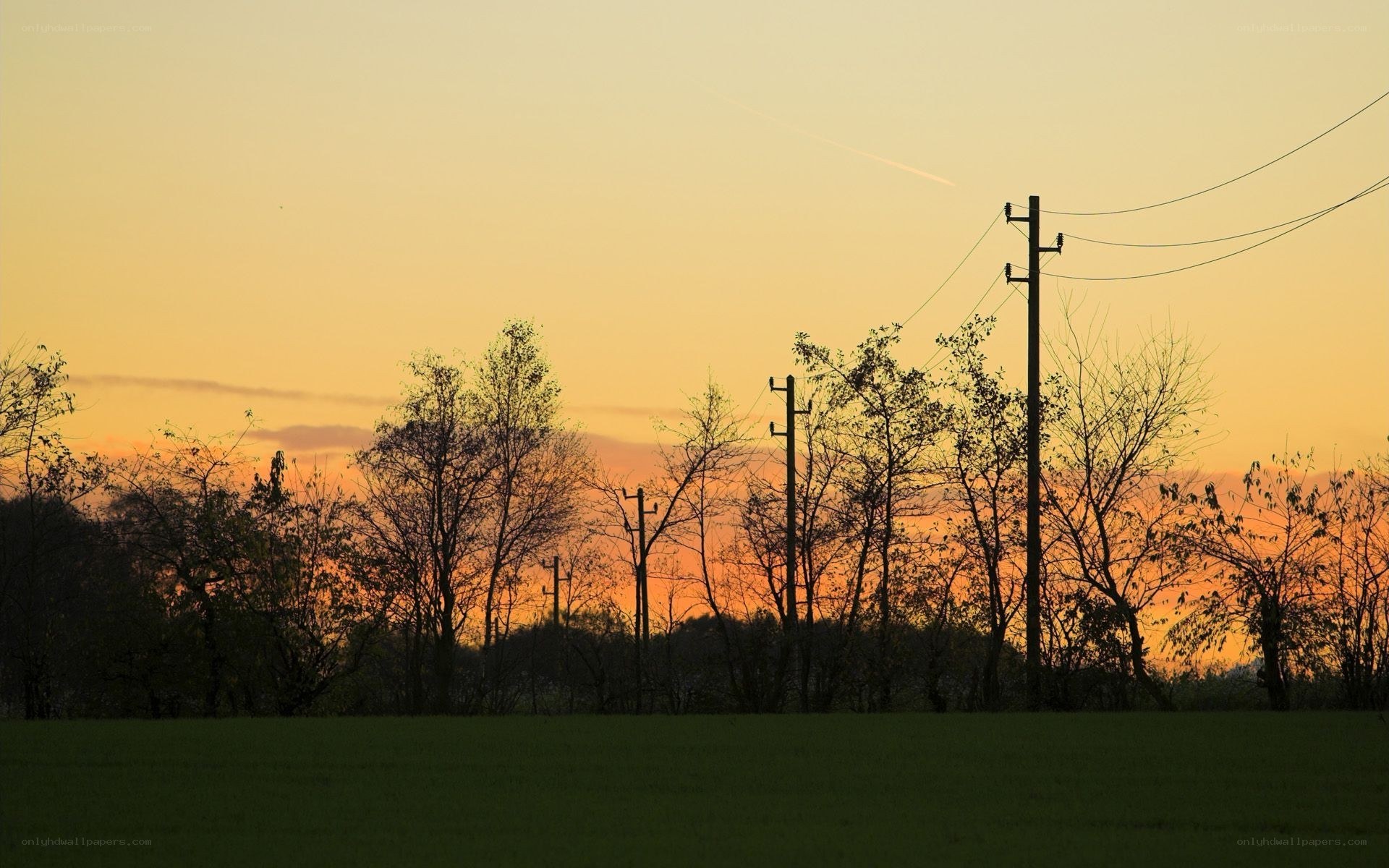 sunset over power lines