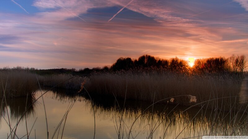 Sunset over Reeds and Water — Orange