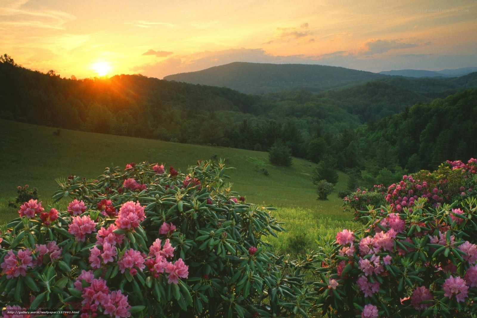 Sunset over Rhododendron Hills