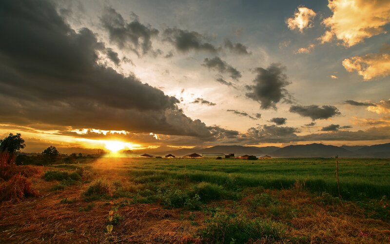 Sunset over Rice Fields — Orange