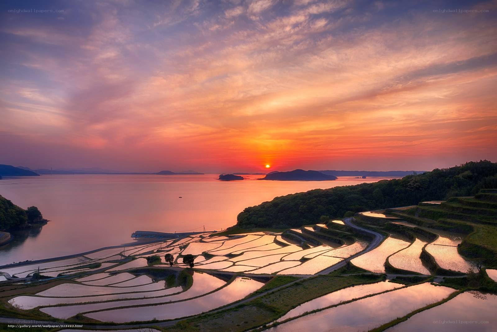 Sunset over rice terraces
