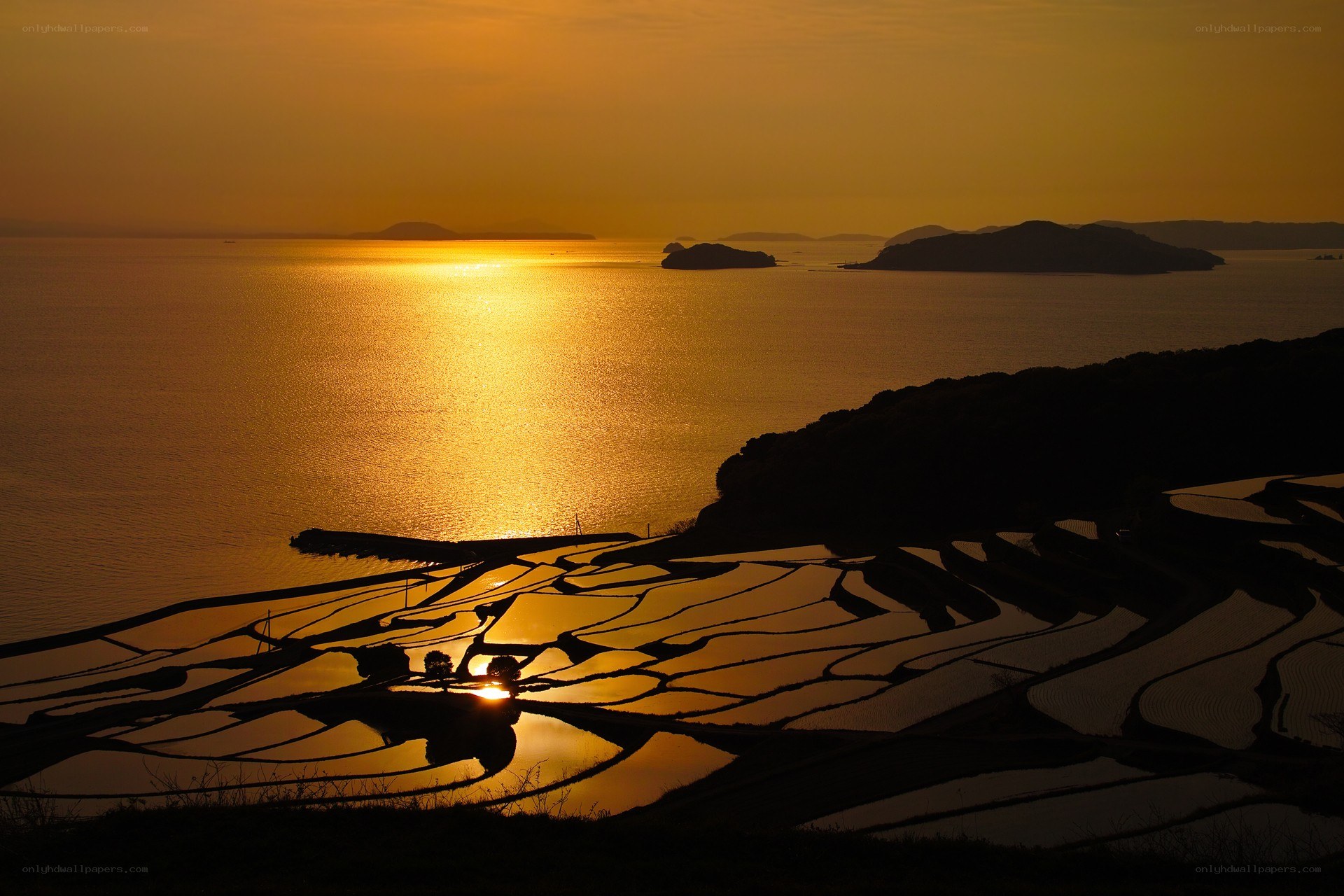 Sunset over rice terraces