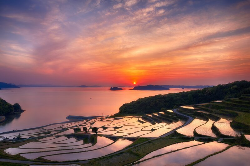 Sunset over rice terraces