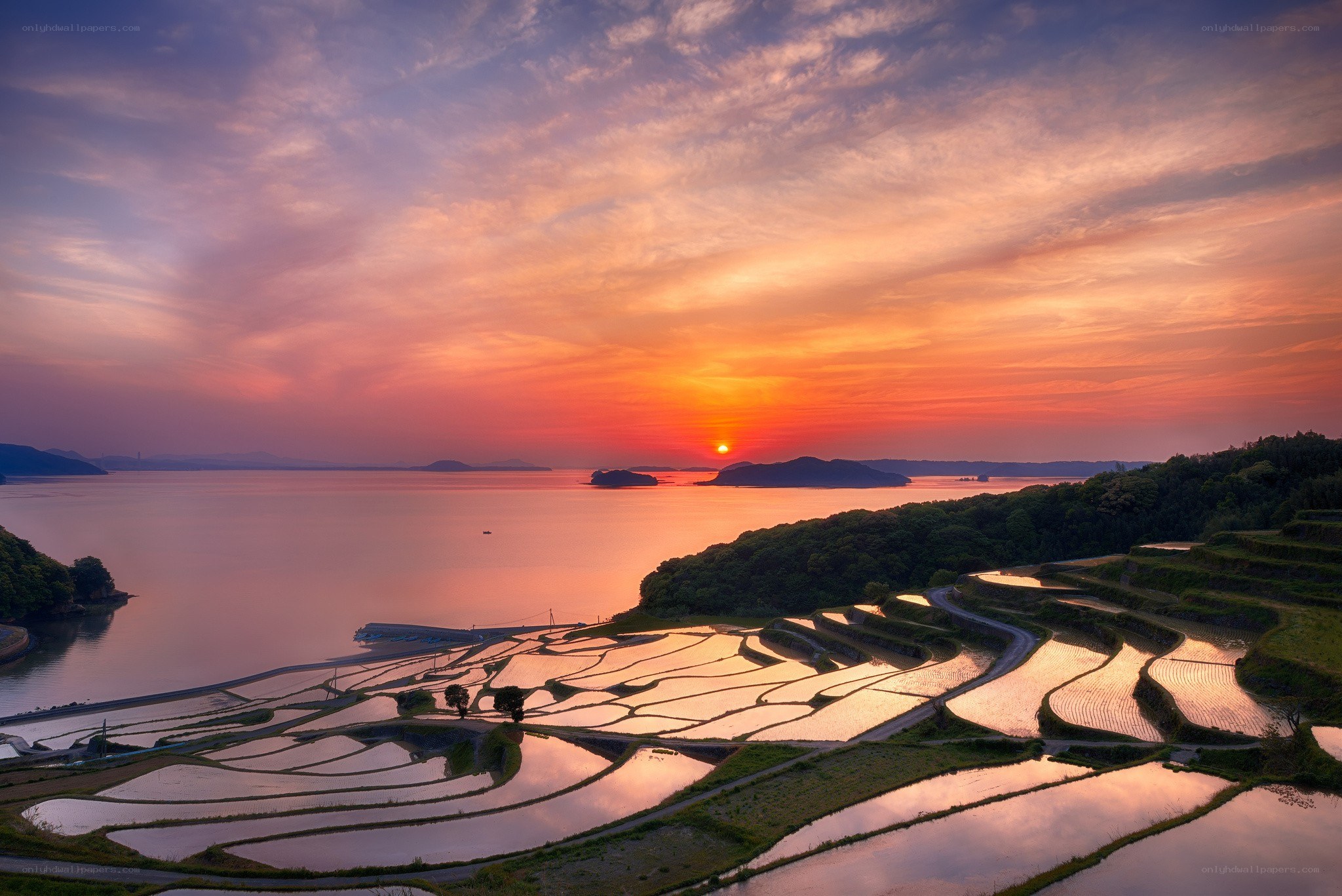 Sunset over rice terraces