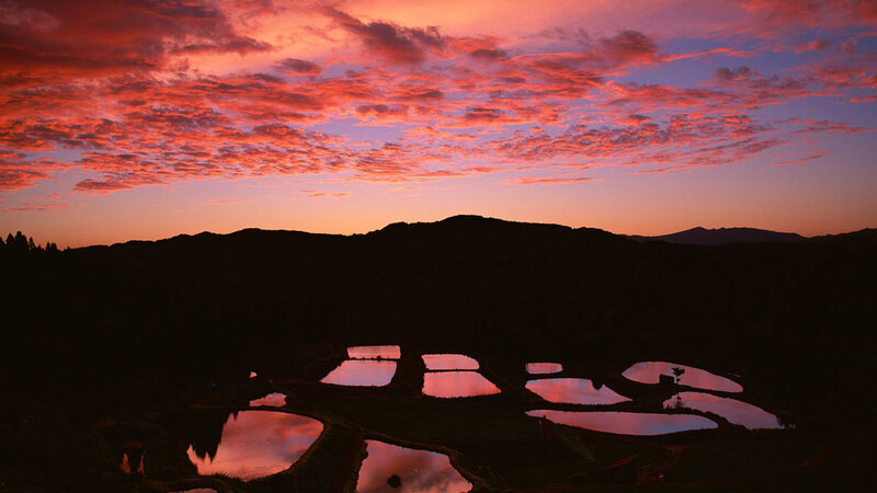 Sunset over rice terraces