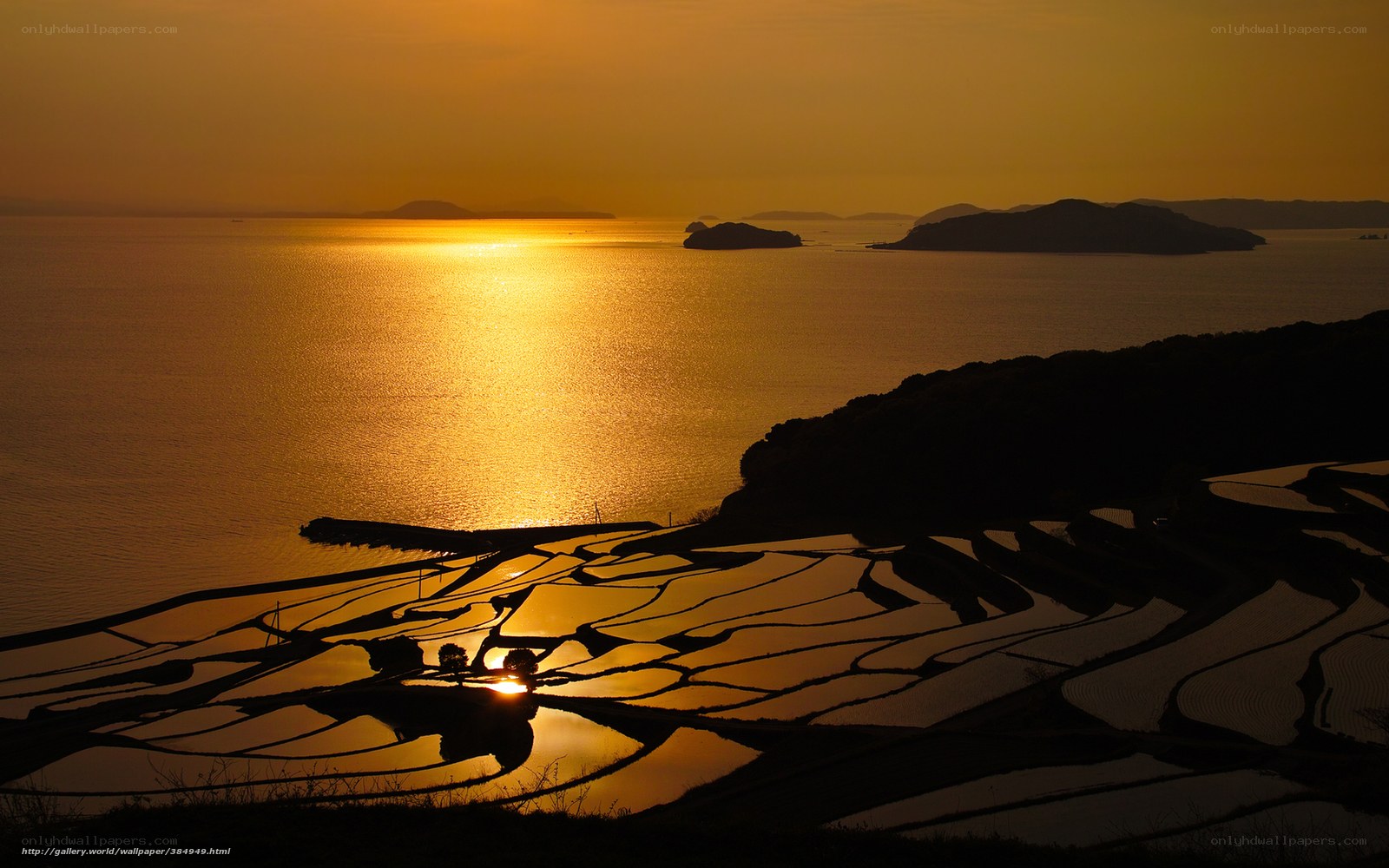 Sunset over rice terraces