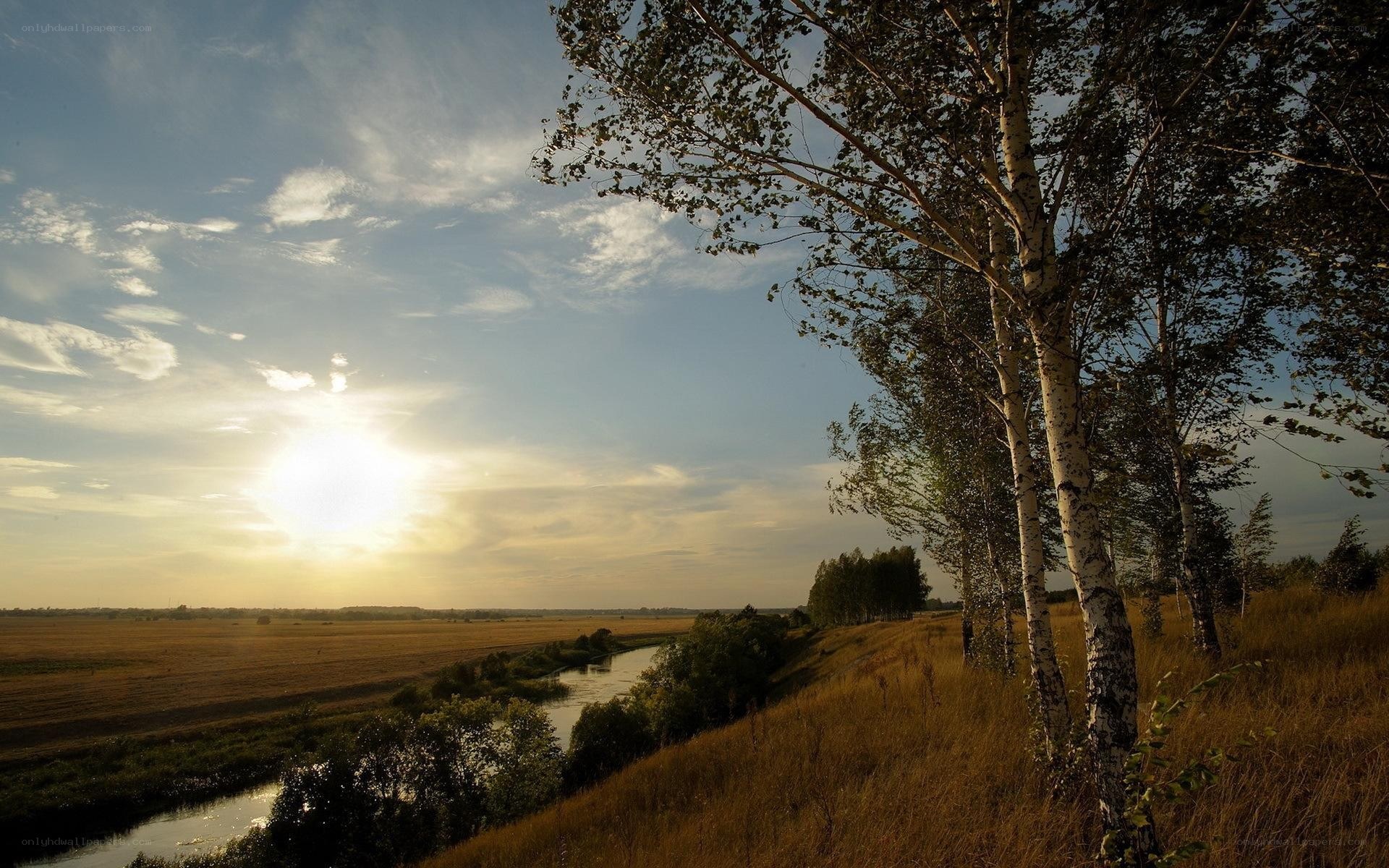 Sunset over river and birch trees