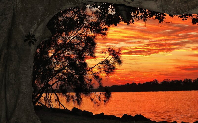 Sunset over River — Orange, Dramatic, Photograph, Tree