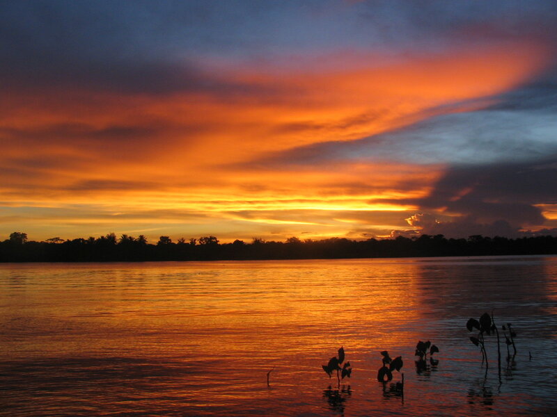 Sunset over River — Orange, Dramatic, Photograph, Trees, Clouds, Plants