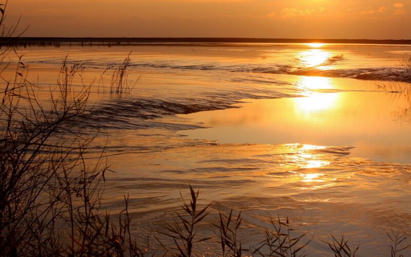 Sunset over River — Orange, Serene, Photograph, Reeds