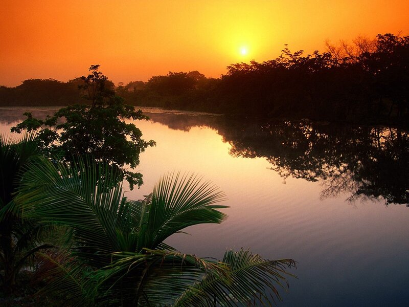 Sunset over River — Orange, Serene, Photograph, Trees, Palm Fronds