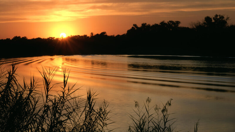 Sunset over River — Orange, Serene, Photograph, Trees, Reeds