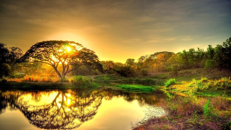 Sunset over River Tree