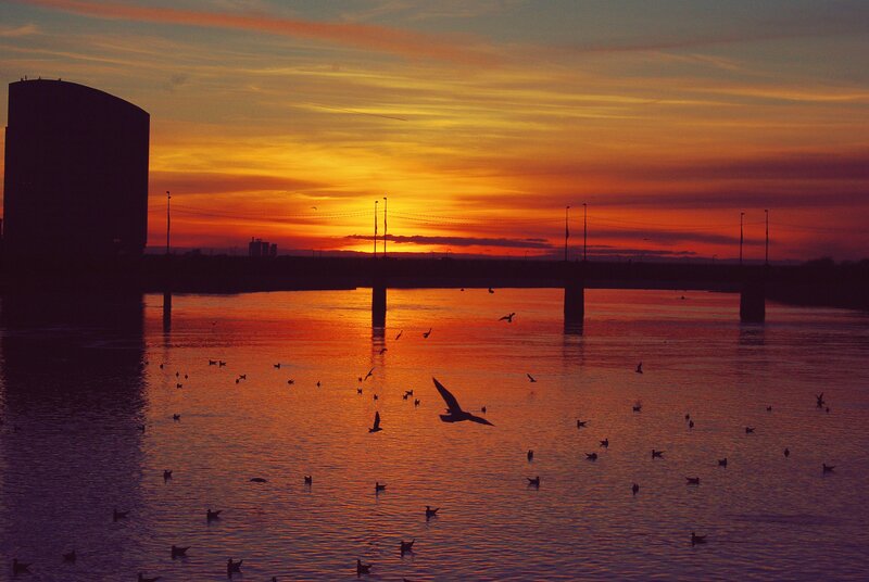 Sunset over river with birds