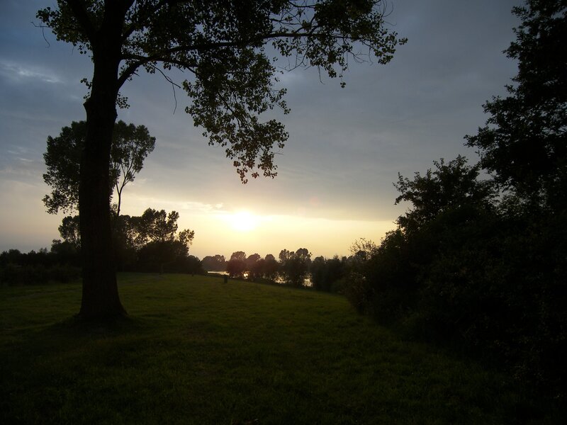 Sunset over Riverbank — Green