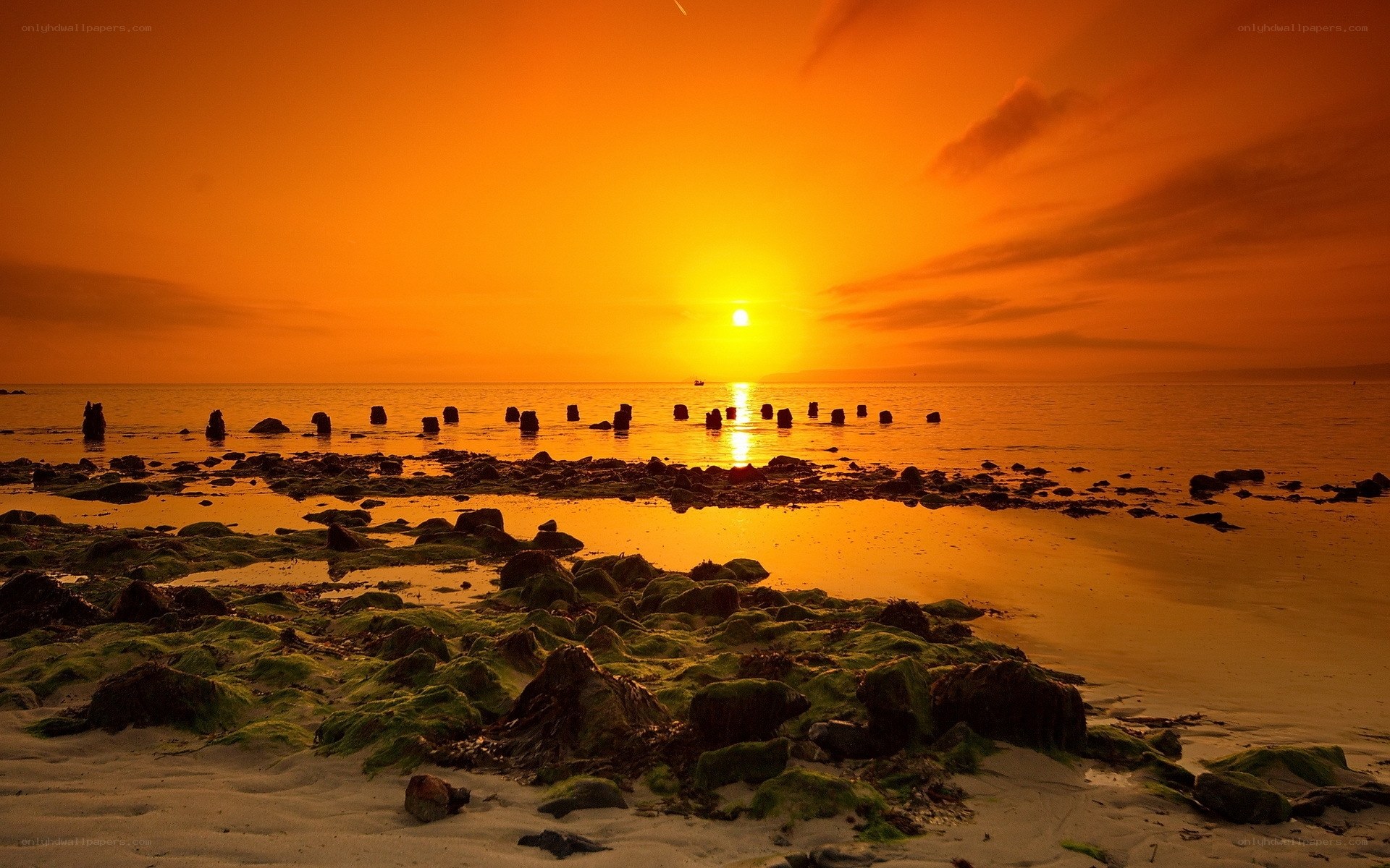 Sunset over rocky beach