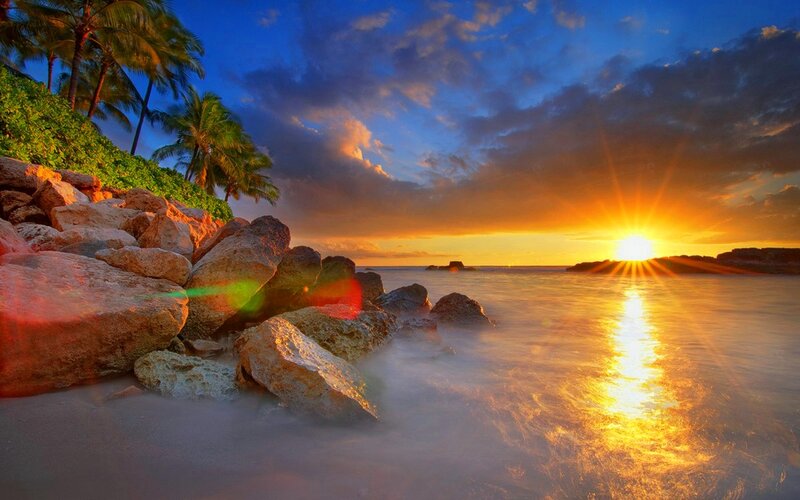 Sunset over Rocky Beach — Blue, Dramatic, Photograph, Palm Trees, Rocks