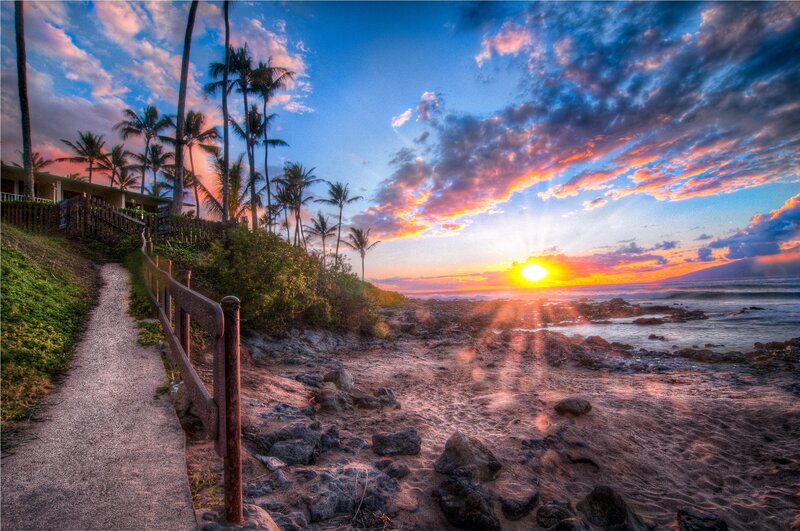 Sunset over Rocky Beach — Blue, Dramatic, Photograph, Palm Trees
