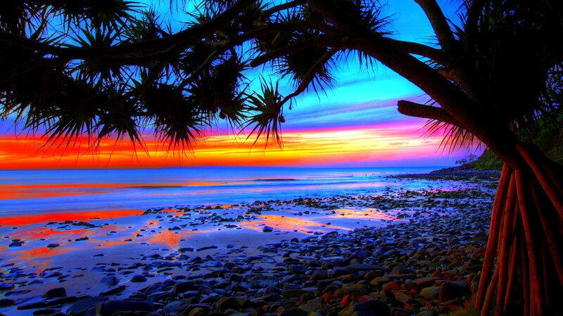 Sunset over Rocky Beach — Blue, Dramatic, Photograph, Trees