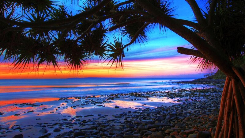 Sunset over Rocky Beach — Blue, Serene, Photograph, Palm Tree