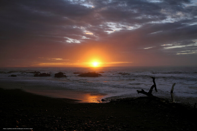 Sunset over Rocky Beach — Orange, Dramatic, Photograph, Driftwood