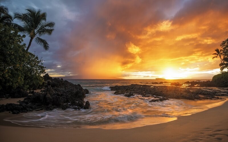 Sunset over Rocky Beach — Orange, Dramatic, Photograph, Palm Trees, Ocean, Rocks