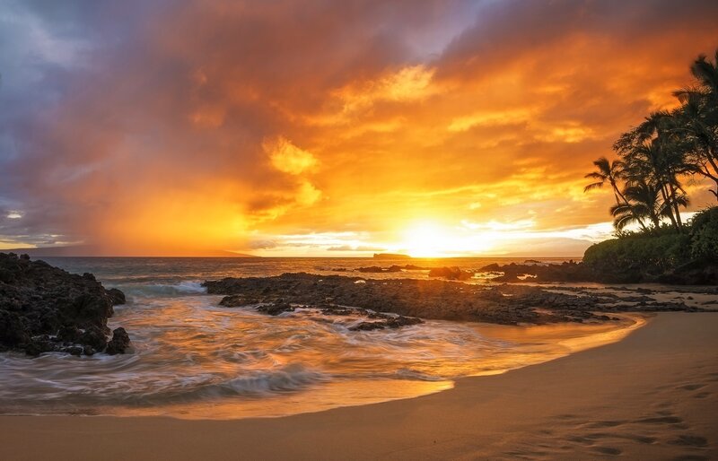 Sunset over Rocky Beach — Orange, Dramatic, Photograph, Palm Trees, Ocean