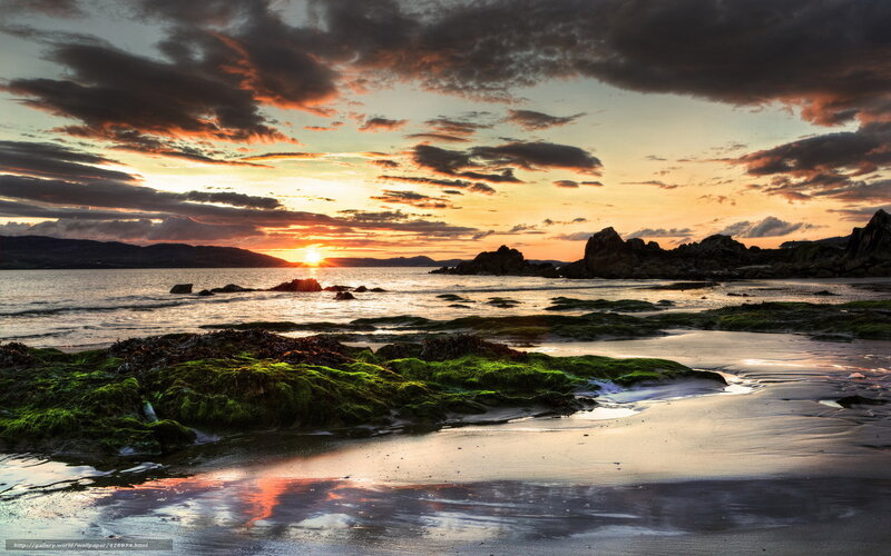 Sunset over Rocky Beach — Orange, Dramatic, Photograph, Sun, Clouds, Rocks, Seaweed