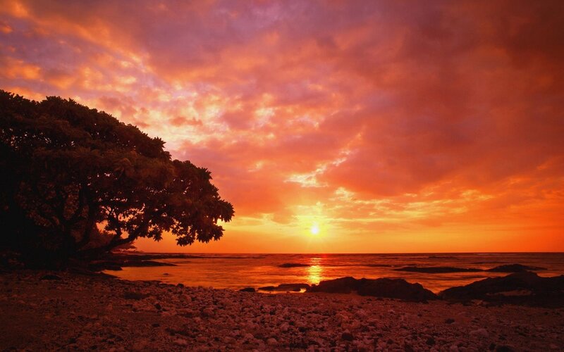 Sunset over Rocky Beach — Orange, Dramatic, Photograph, Tree, Ocean, Sky, Red