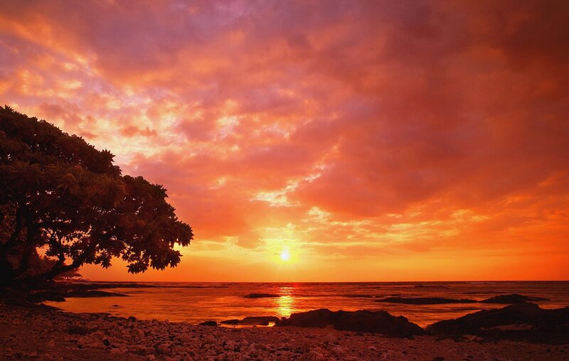 Sunset over Rocky Beach — Orange, Dramatic, Photograph, Tree