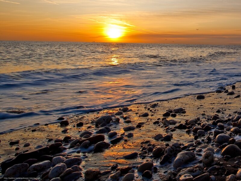 Sunset over Rocky Beach — Orange, Serene, Photograph, Ocean, Sky, Rocks