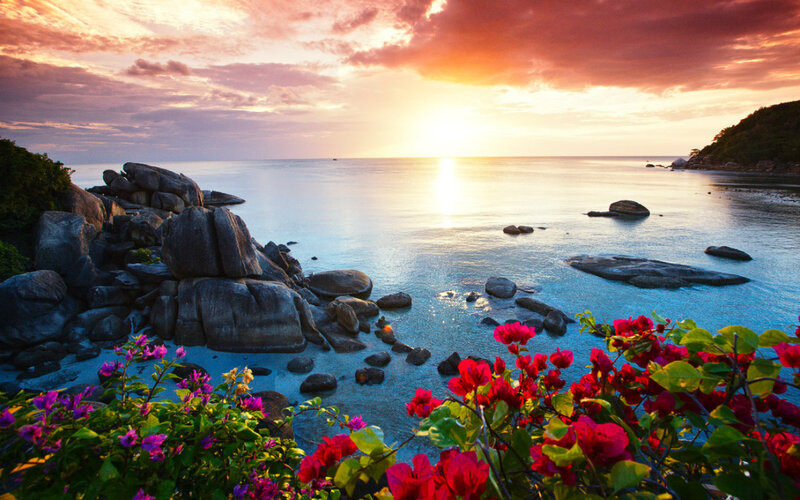 Sunset over Rocky Beach — Orange, Serene, Photograph, Rocks, Flowers