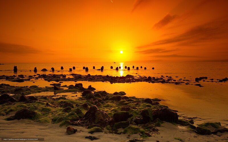 Sunset over Rocky Beach — Orange, Serene, Photograph, Sun, Ocean, Rocks, Sand