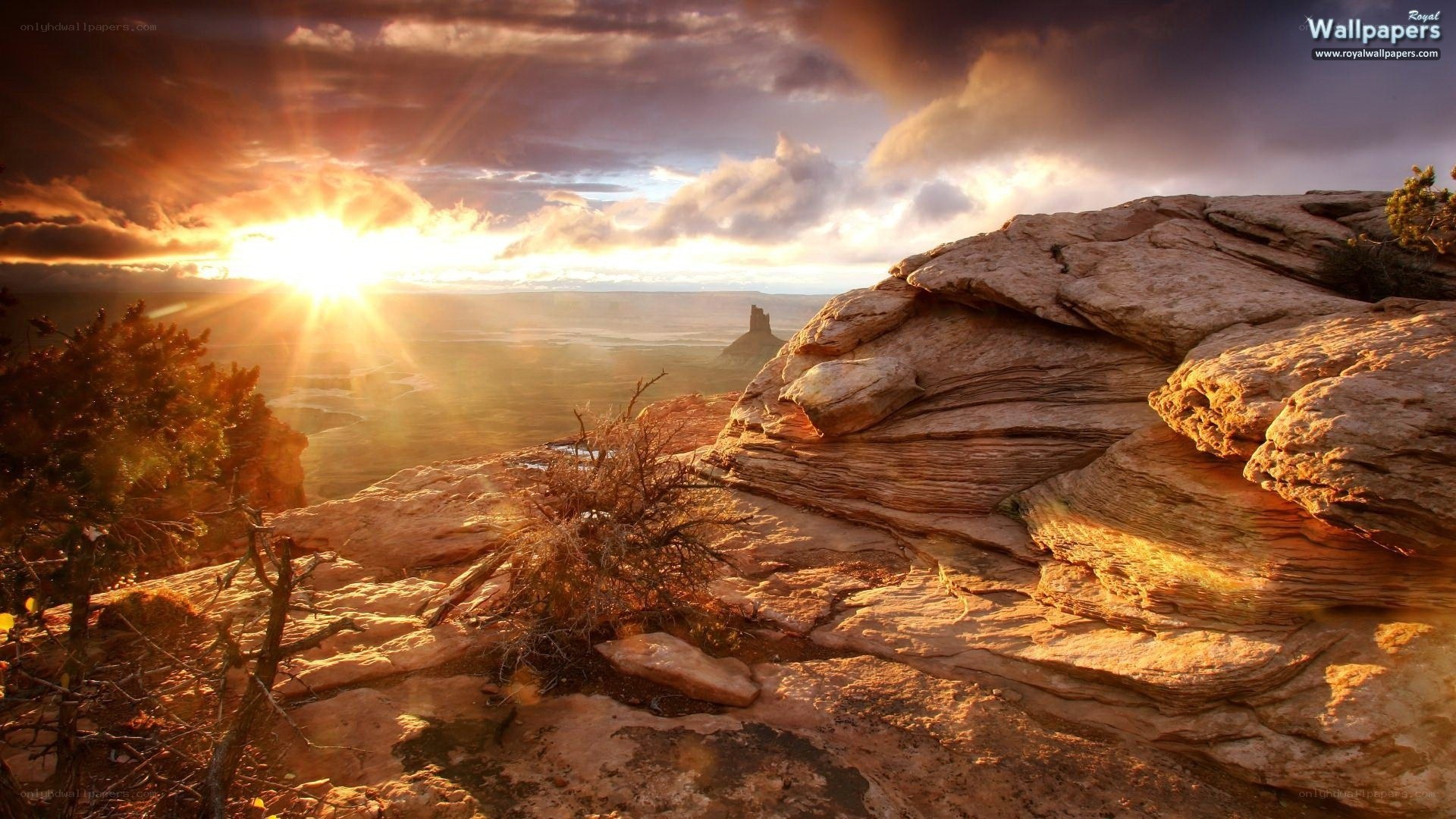 Sunset over rocky canyon