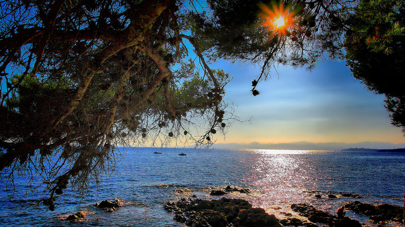 Sunset over Rocky Coast — Blue, Serene, Photograph, Trees