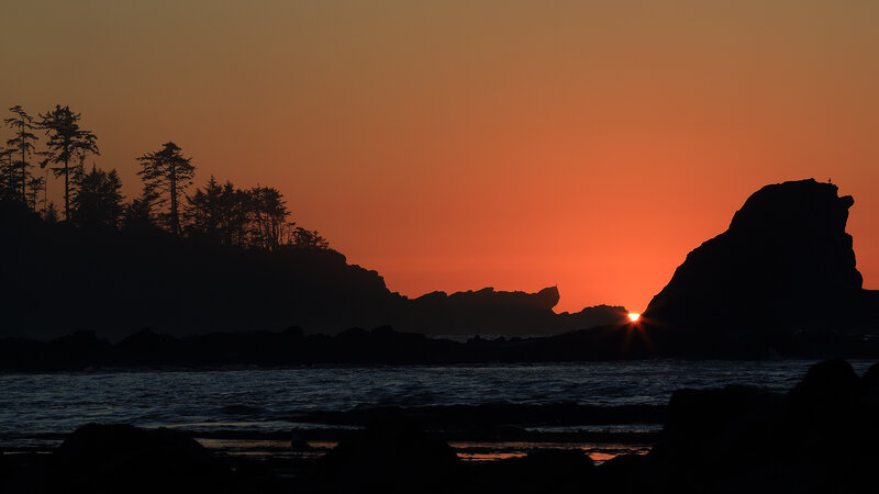 Sunset over Rocky Coast — Orange, Dramatic, Photograph, Trees