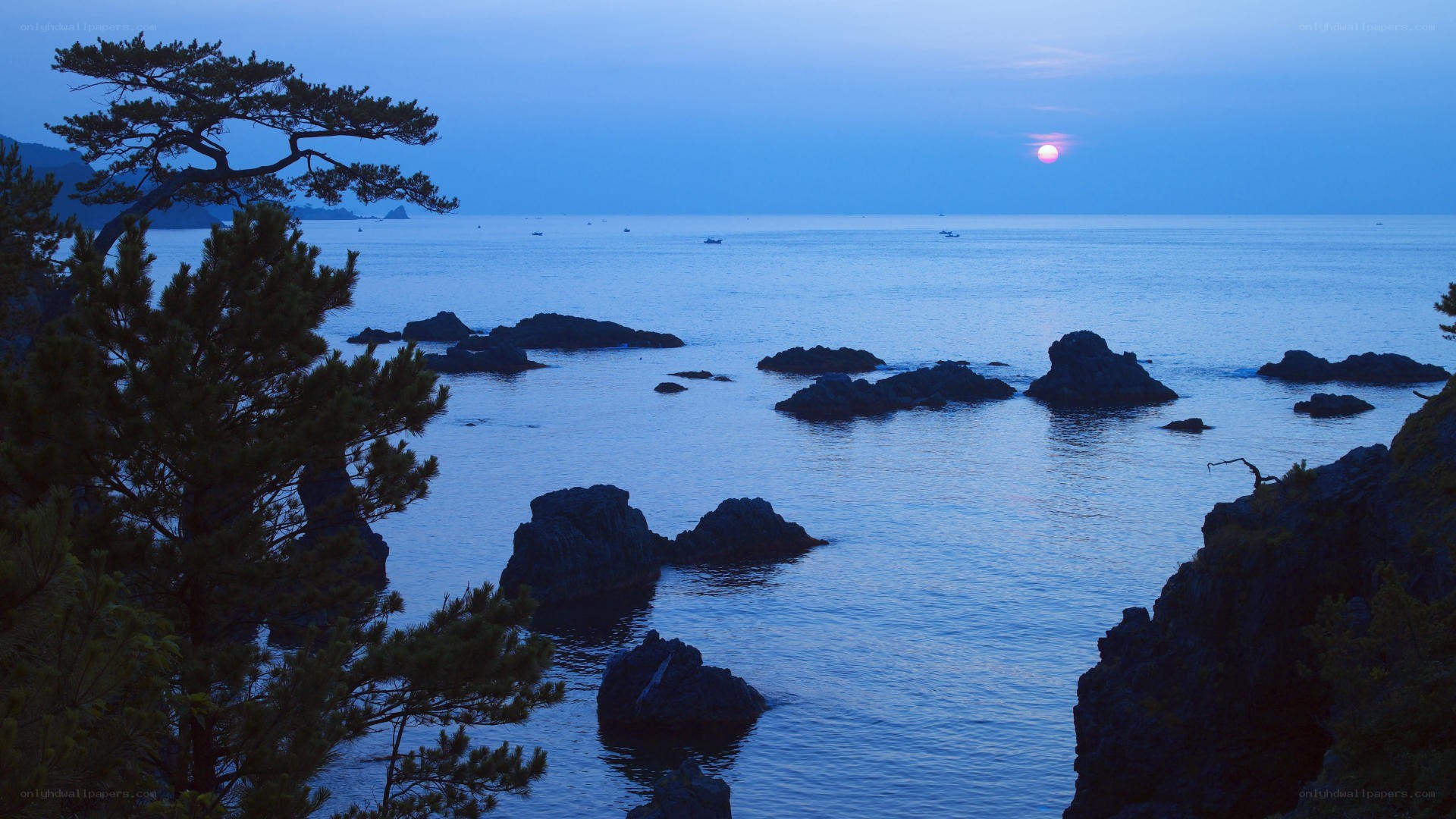 Sunset over rocky coastline
