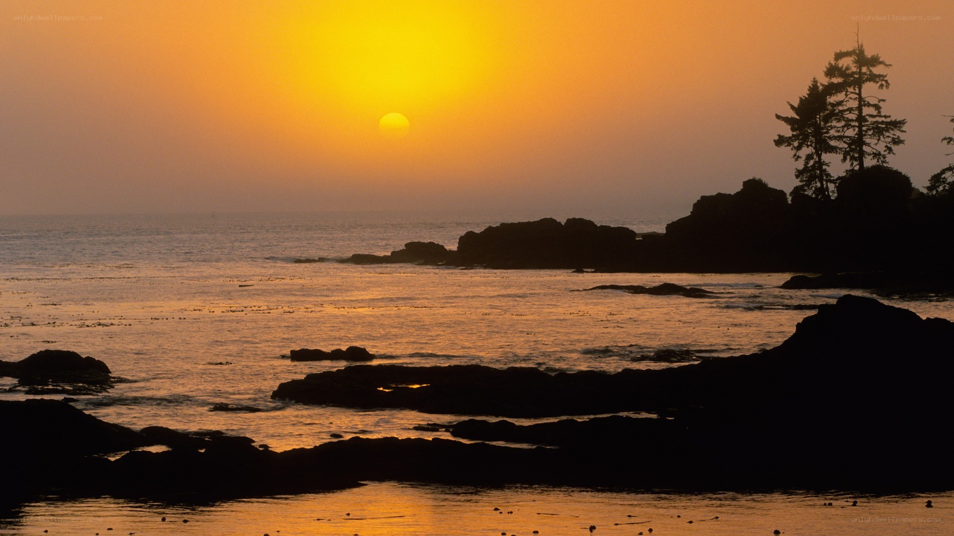 sunset over rocky coastline