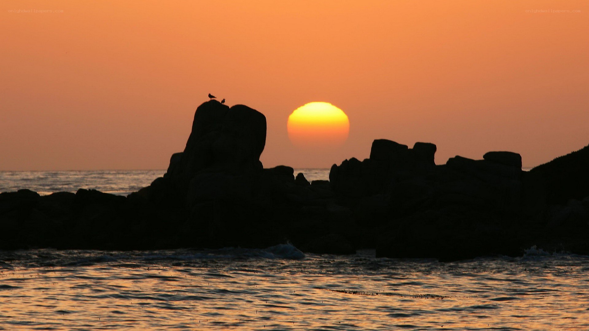 Sunset over rocky coastline