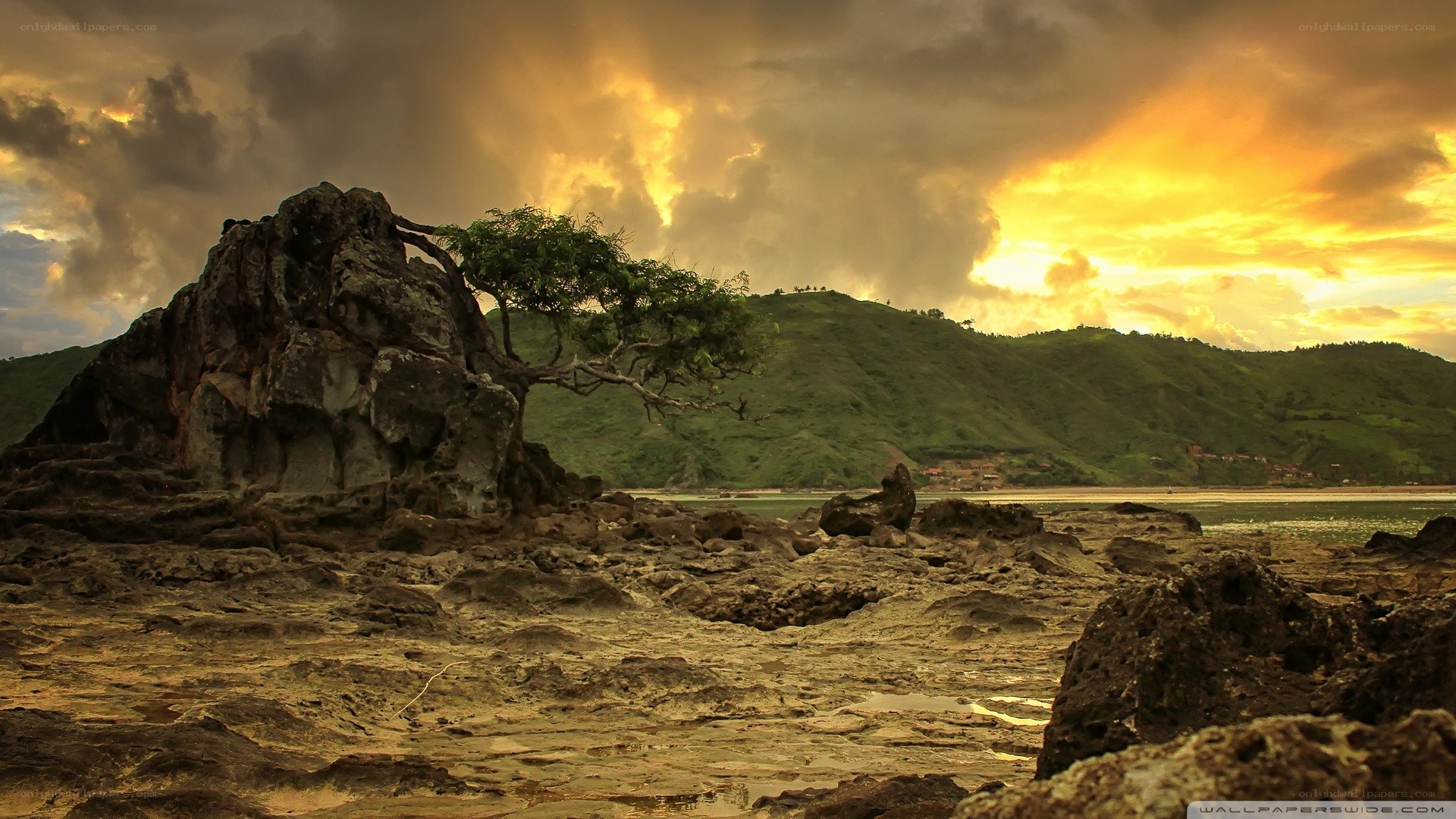 Sunset over rocky coastline