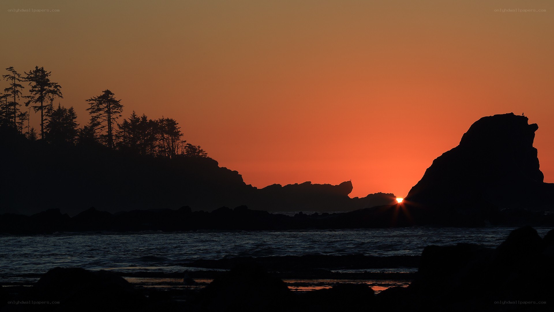 Sunset over rocky coastline
